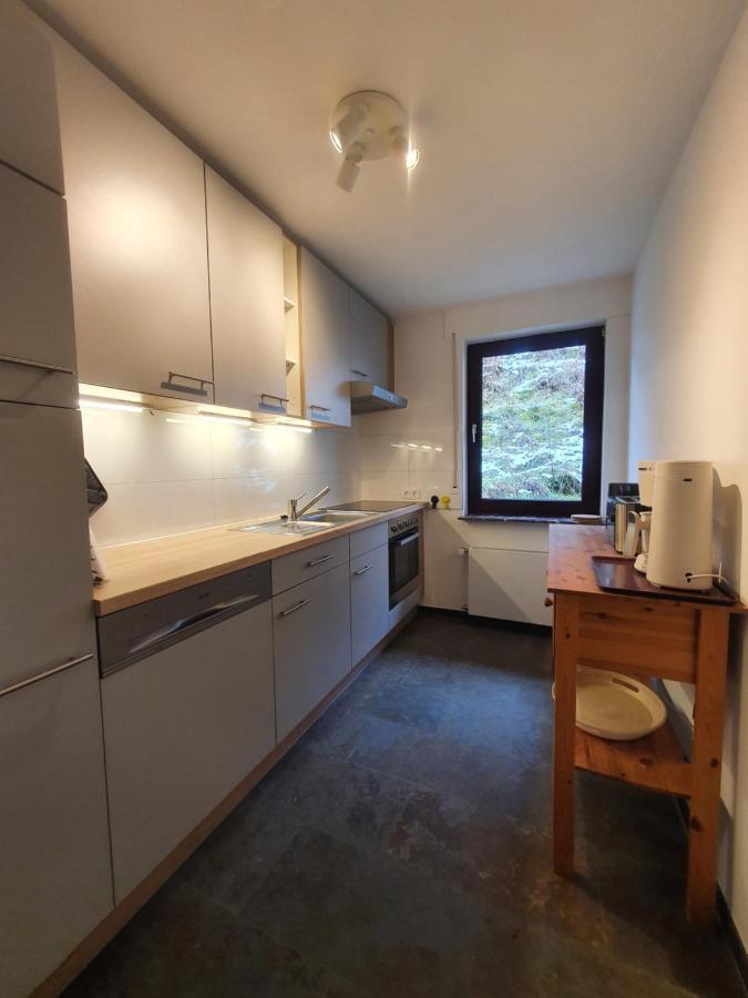 Grosses Ferienhaus Sauerburgblick Sauerthal Esterno foto